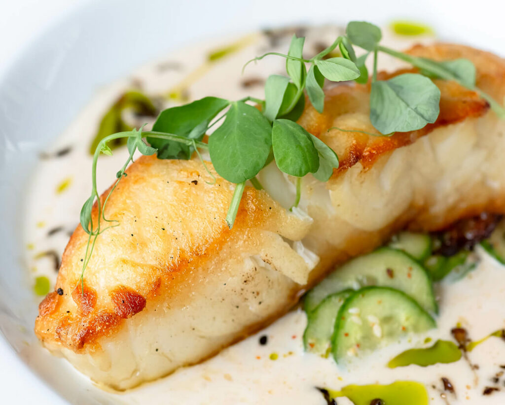 Pan-seared fish fillet served with cucumber slices and microgreens, drizzled with a balsamic reduction and herb oil.